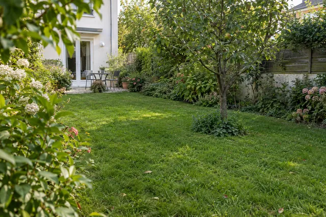 Jardin arboré avec pelouse et terrasse, illustration d’un projet d’achat immobilier.